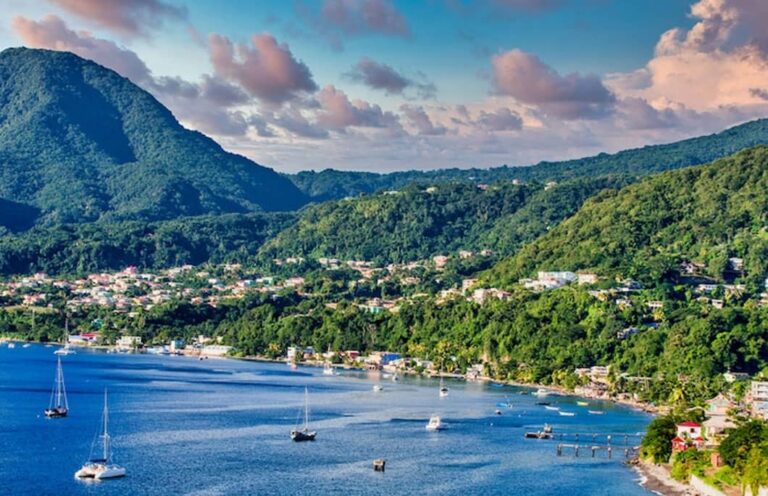 Dominica Will Not Host T20 World Cup 2024